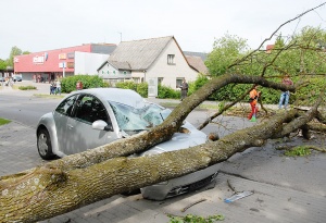 Nuvirtęs medis Ukmergėje prispaudė automobilį PAPILDYTA