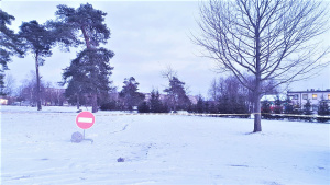 Automobilių paliktas vėžes dabar uždengė sniegas, o nuo pažeidėjų teritorija apsaugota kelio ženklu ir STOP juosta.  Autorės nuotr.