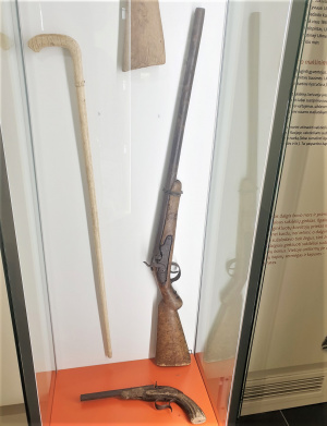 Įdomiausius ginklus galima pamatyti muziejaus ekspozicijoje.  Autorės nuotr.