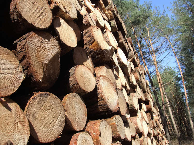 „Šilalės mediena“ statys gamyklą Ukmergėje