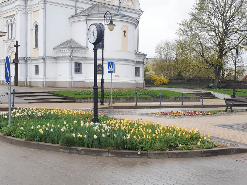 Pavasarines gėles birželį pakeis vasarinės.  Skaistės Vasiliauskaitės-Dančenkovienės nuotr.