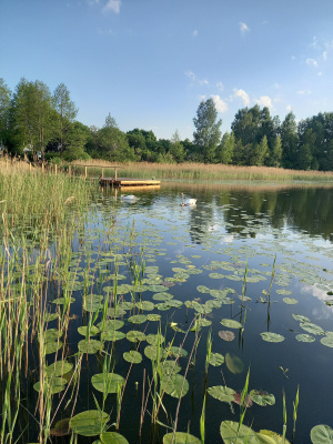 Šiemet baigiasi daugelio Lietuvos vandens telkinių nuomos laikotarpis.