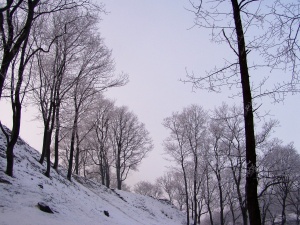 Gedimino Nemunaičio nuotr. Šių metų sausis ypač skurdus sniegu.