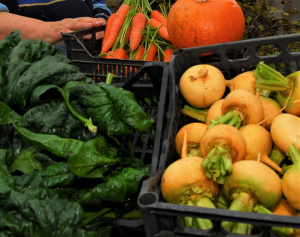 Ekologiški maisto produktai – visuose Ukmergės darželiuose