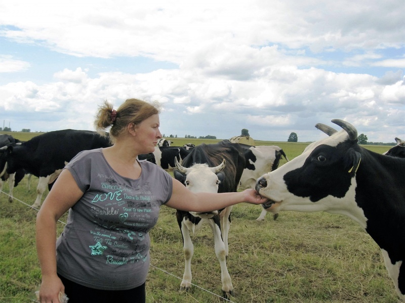 Ūkininkei R. Varnienei gaila atsisveikinti su karvėmis. Autorės nuotr.