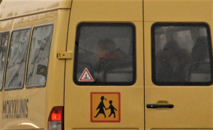 Mokyklinis autobusiukas susidūrė su iš aptvaro pasprukusiu poniu