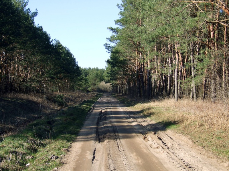 Ukmergės miškų keliai