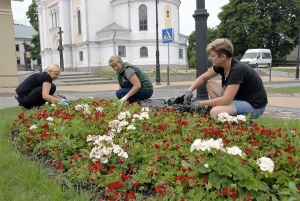 Daugiausia gėlių pasodinta ir prižiūrima miesto centre. Gedimino Nemunaičio nuotr.