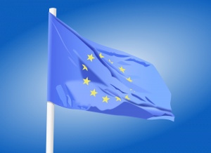 Peticijų rengimas Europos žmogaus teisių teismui