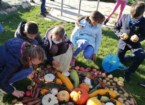 Iš vaisių ir daržovių vaikai dėlioja kilimą.