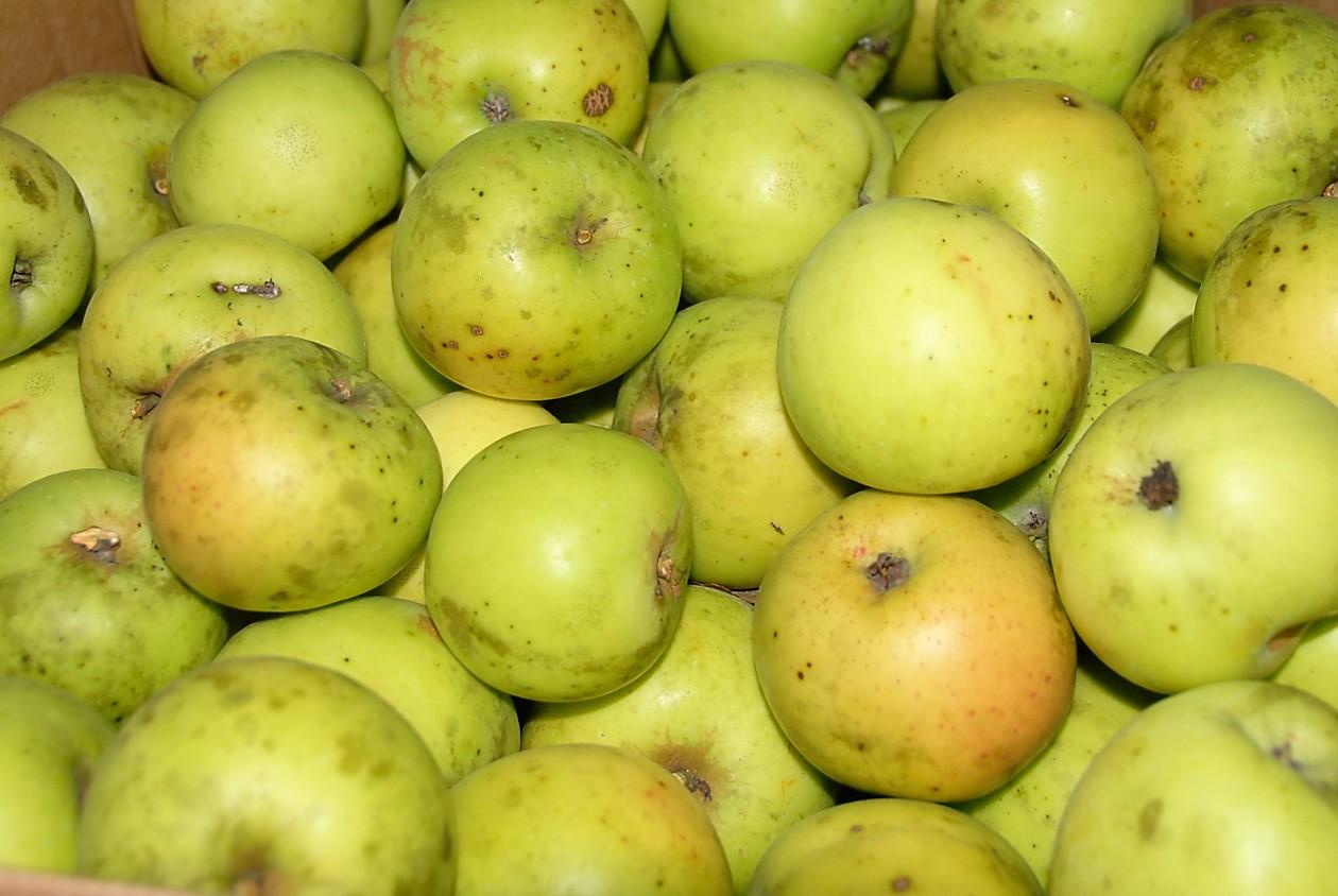 Aikštelės nerado /