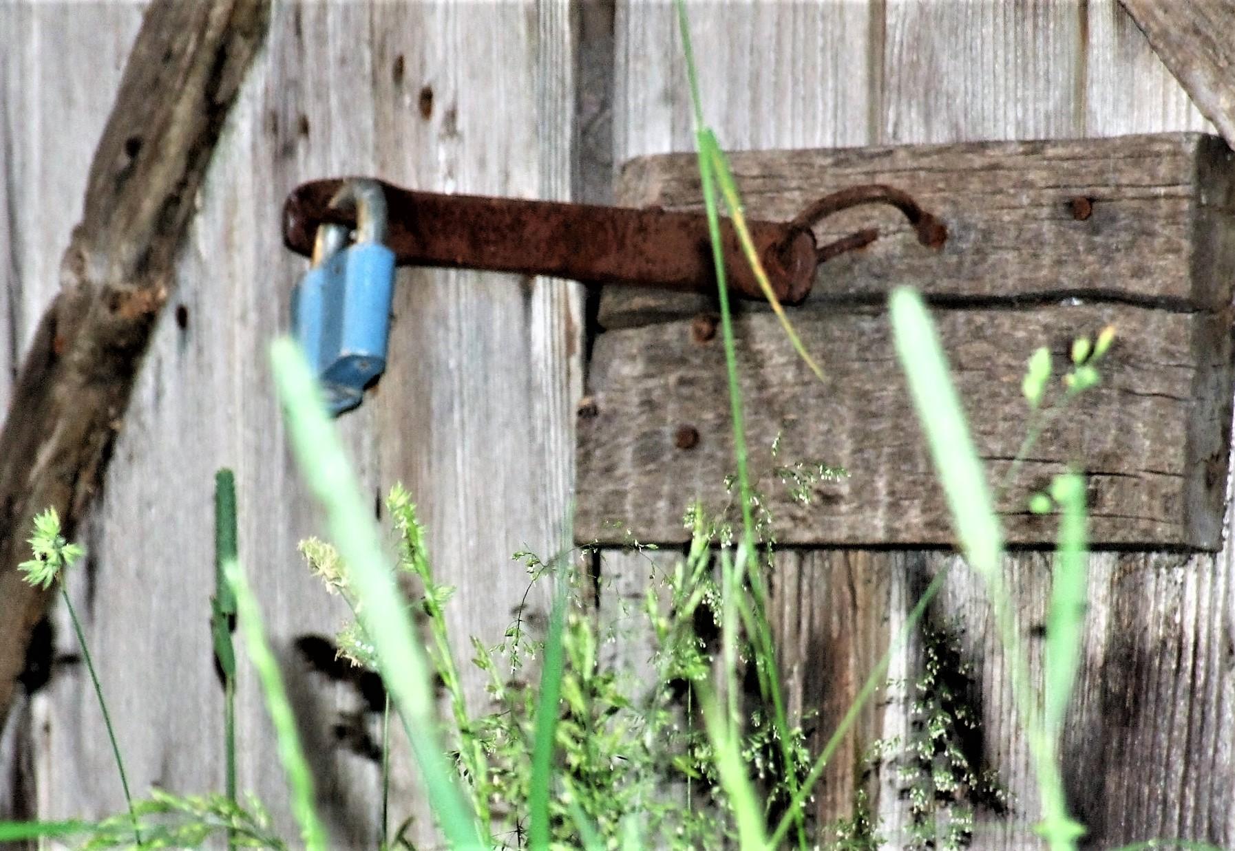 Apgyvendino nakvynės namuose /