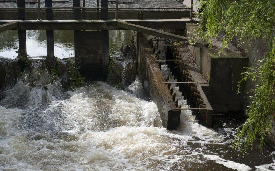Aplinkosaugininkai primena /