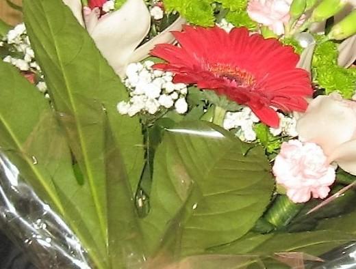 Atsirėmė į gerų žmonių petį /