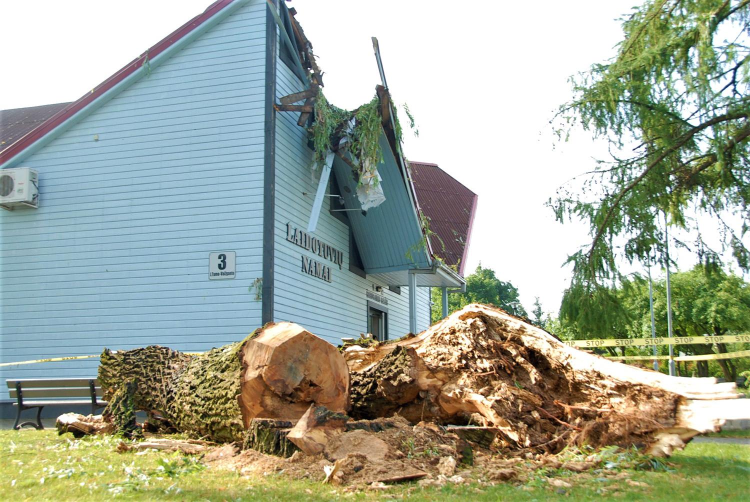 Audra nusiaubė Ukmergę / Griūdamas medis užvirto ant stogo ir jį apgadino.  Gedimino Nemunaičio nuotr.