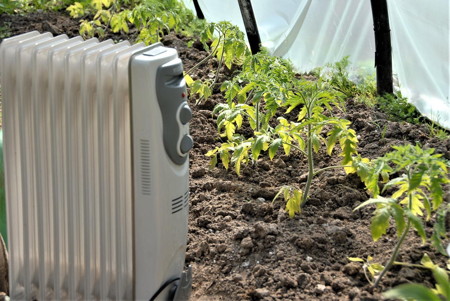 Augalams išbandymai ir sausra