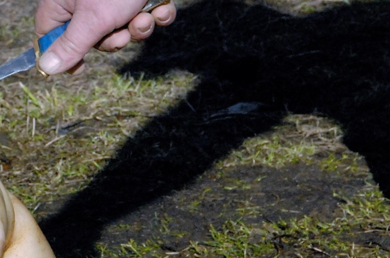 Bandė durti peiliu /