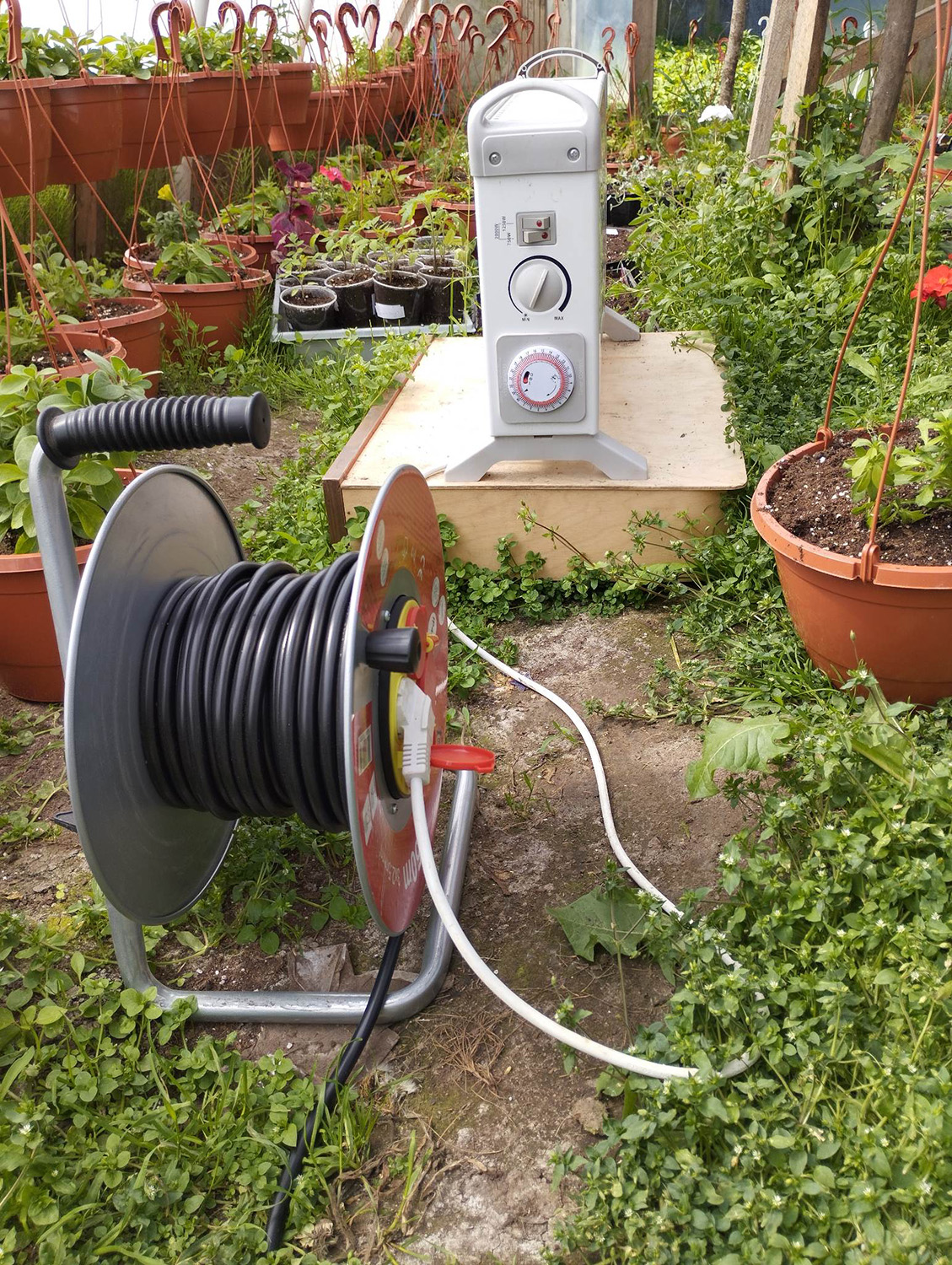 neramina sausra / Gedimino Nemunaičio nuotr. Šalnos šiemet kaip niekada užsitęsė.