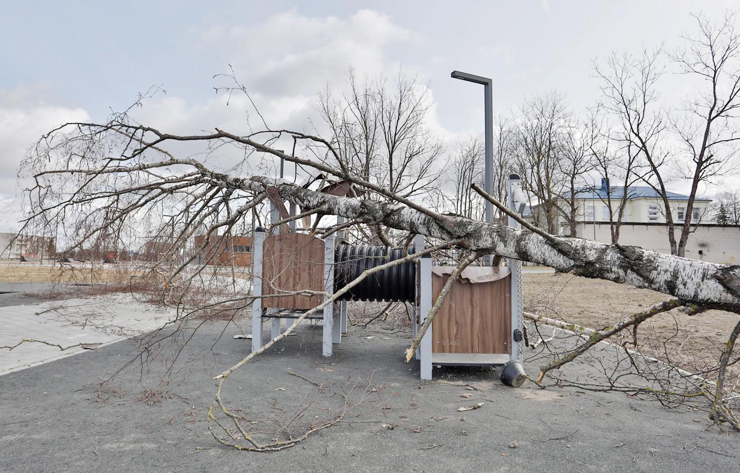 Beržas virto ant vaikų aikštelės / Vėjo nulaužtas beržas krisdamas apgadino naują vaikų žaidimų aikštelę.   Dainiaus Vyto nuotr.