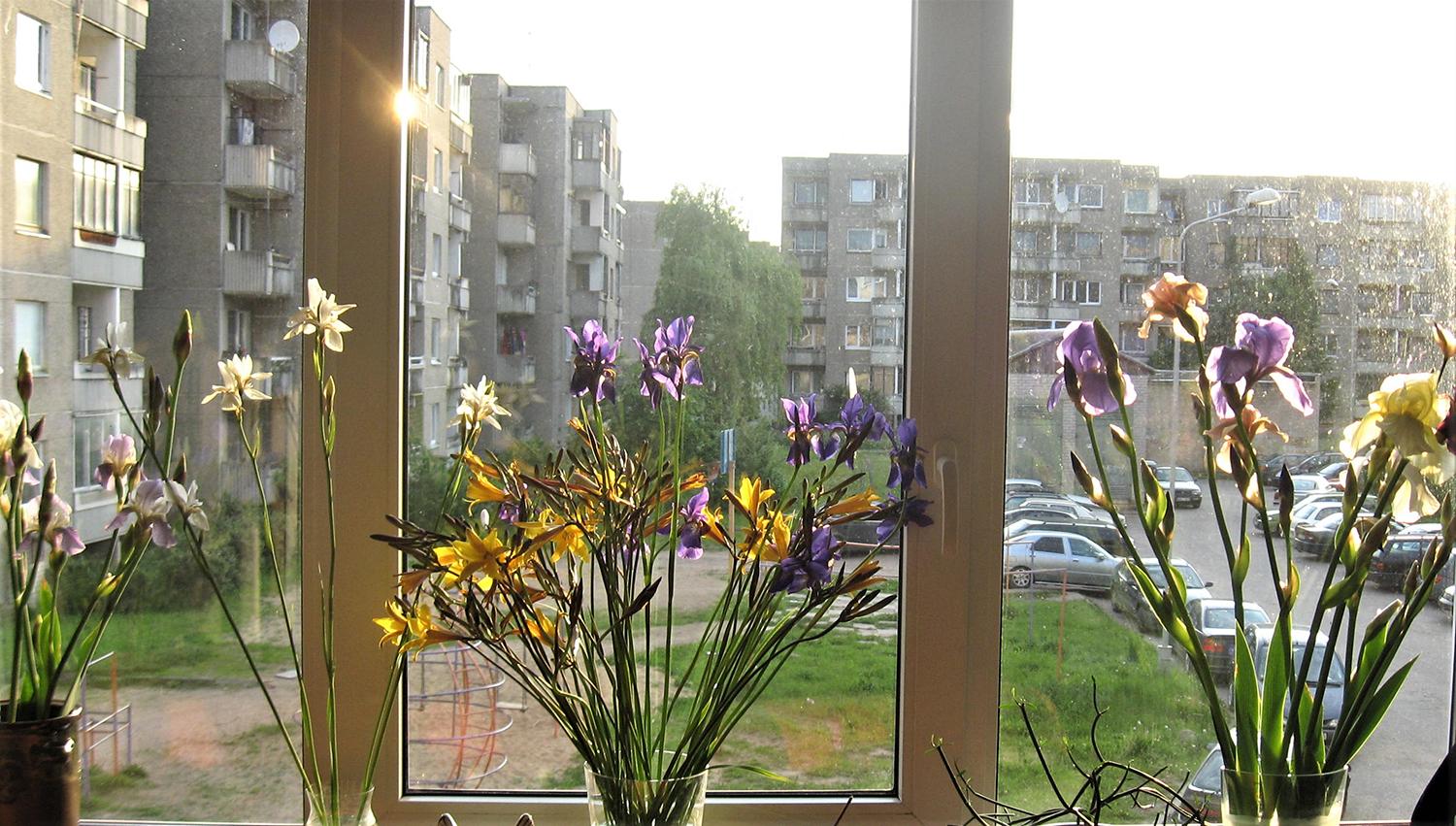 Butų kainos Ukmergėje pasiekė neregėtas aukštumas / Butai – labiausiai perkamas nekilnojamasis turtas.  Redakcijos archyvo nuotr.