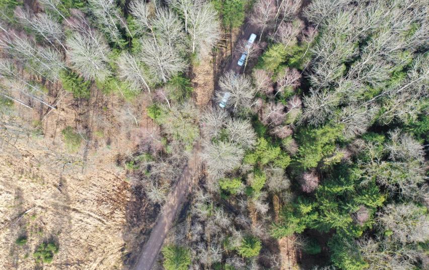 Byla dėl ukmergiškės nužudymo pasiekė teismą /