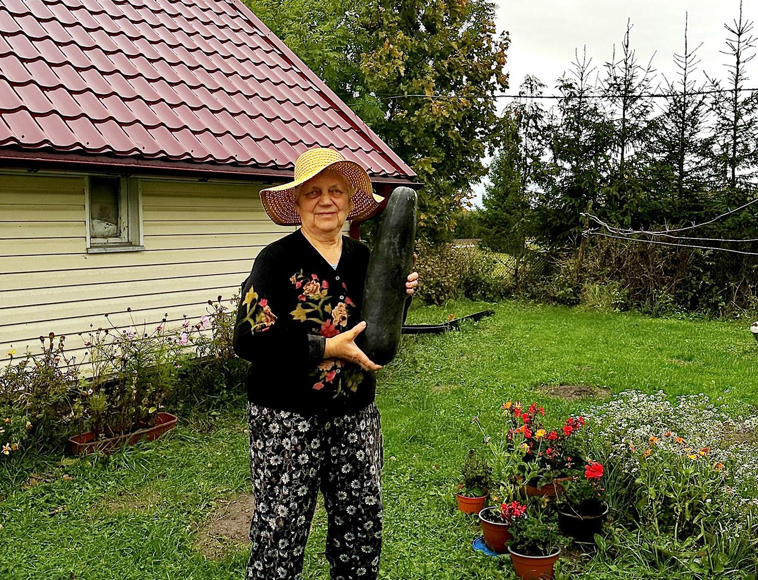 Cukinija užaugo tikra milžine / Stasė Pavydienė darže užaugino didžiulę cukiniją.