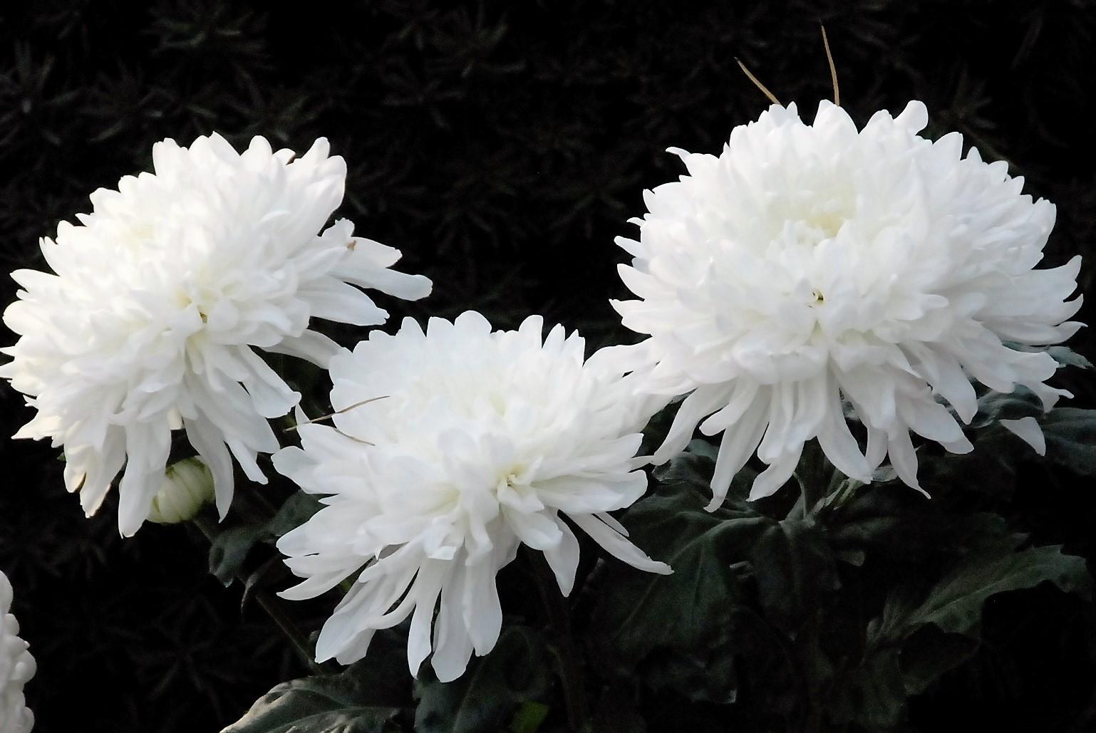 Darbininkas mirė darbo vietoje /