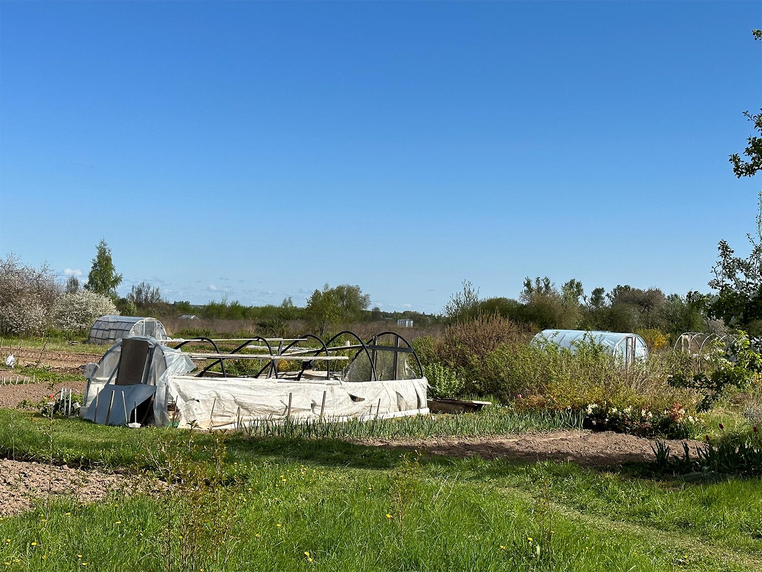 Daržininkai atliekas krauna šalikelėje: kas turi sutvarkyti? / Daržai patinka ne visiems.