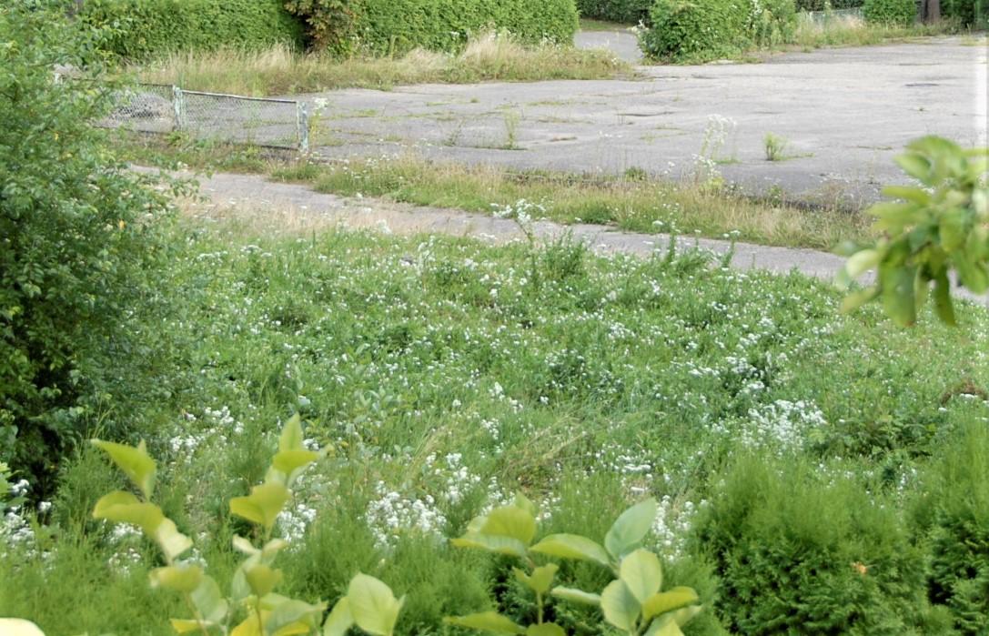 Daugiau kaip 40 proc. savininkų į įspėjimus sureagavo /