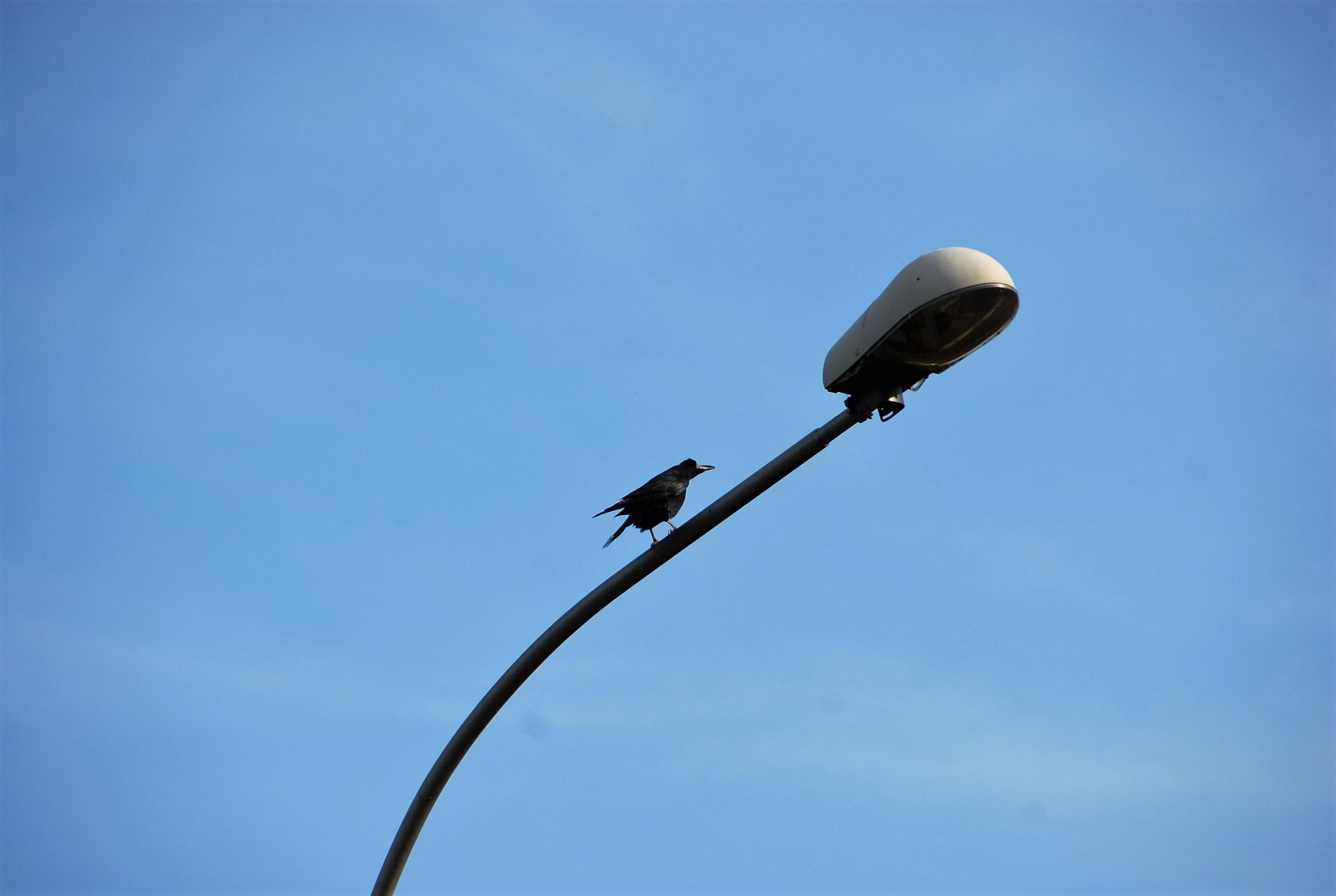 Dėl sutrikusio apšvietimo gatvėse nesaugu /