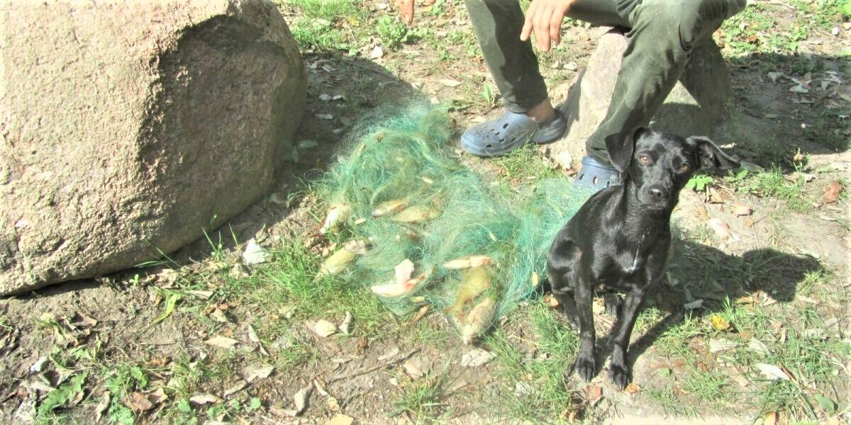 Didžiausiuose Ukmergės rajono ežeruose sulaikyti brakonieriai /