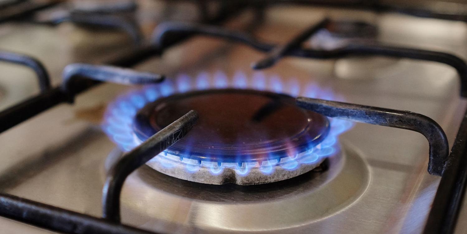 Elektra ir dujos nežymiai brangsta /