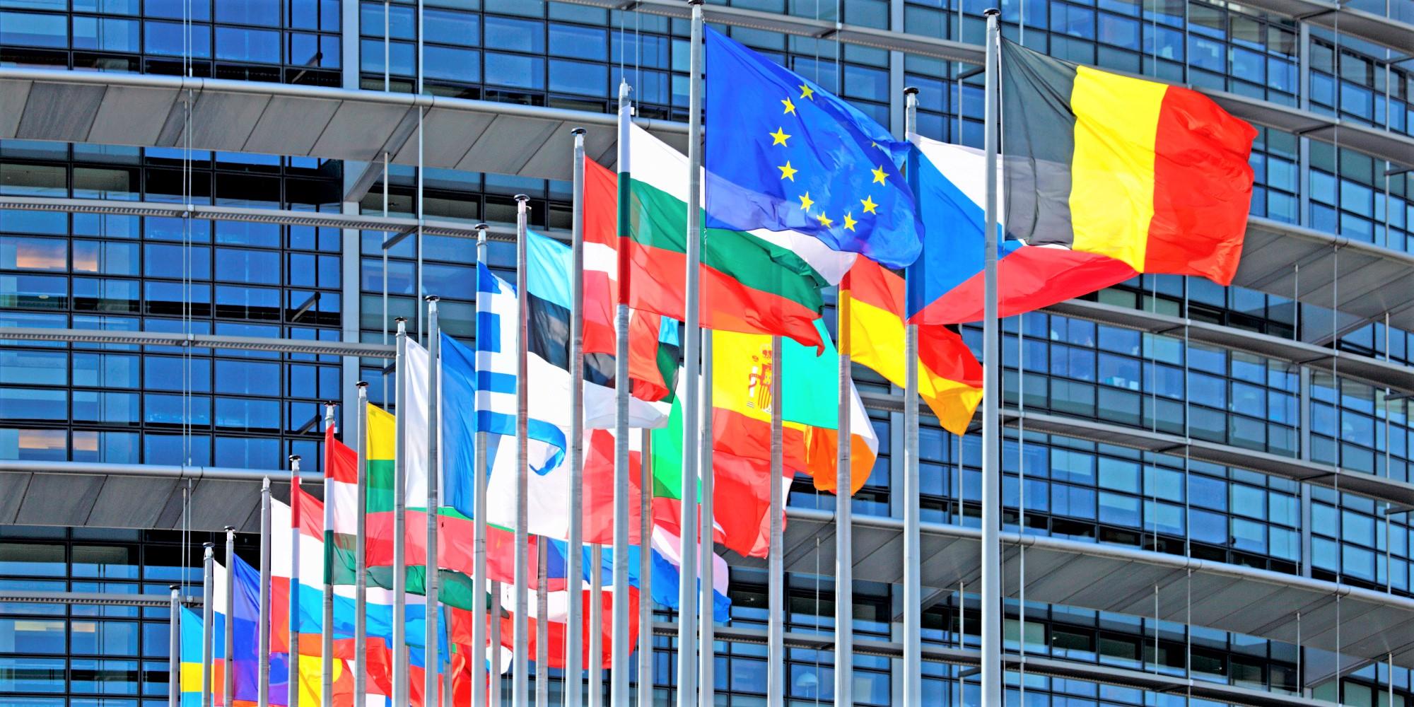 Europos Parlamentui pristatė Vokietijos pirmininkavimo tikslus /