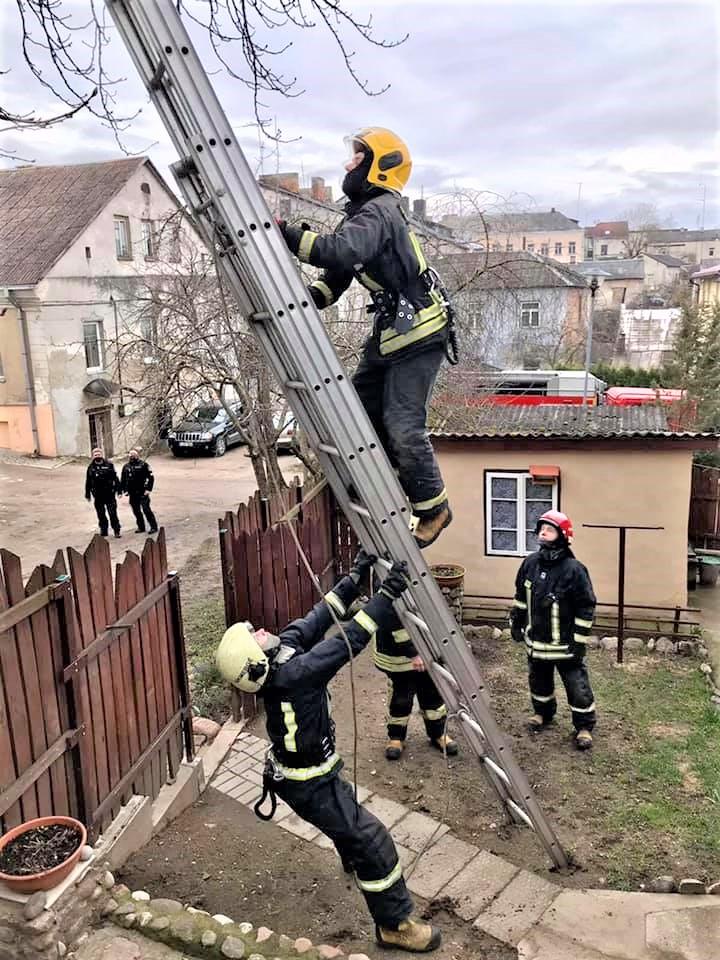 Gelbėjamas katinas paspruko / Ukmergės PGT nuotr.