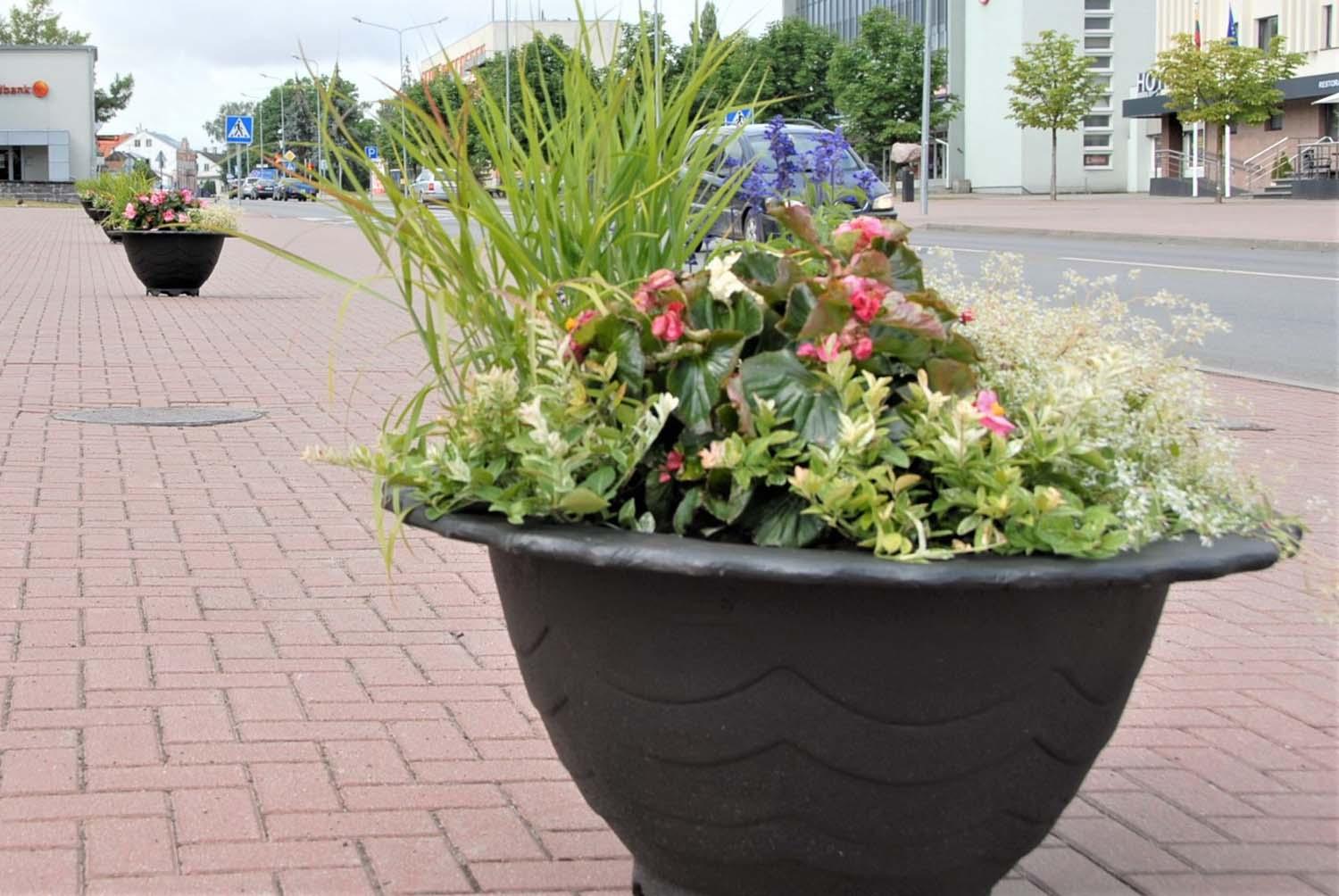 Gėlines išgabeno – jas pakeitė vazonai / Miesto centre gėlines pakeitė vazonai.   Gedimino Nemunaičio nuotr.