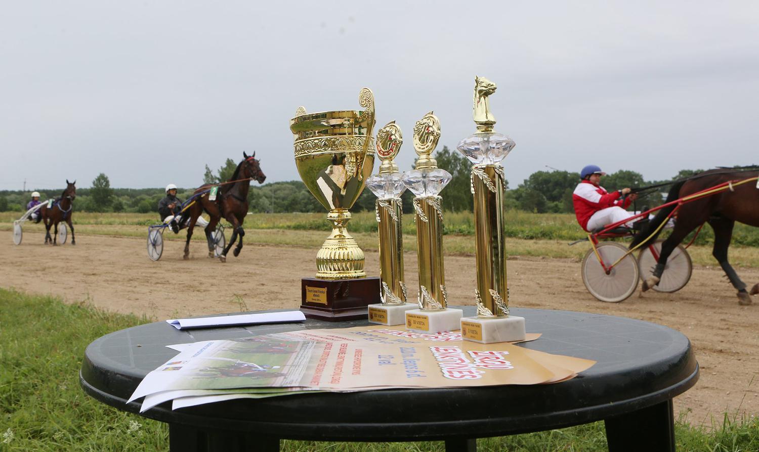 Hipodrome vyko žirgų lenktynės / Dainiaus Vyto fotoinf.