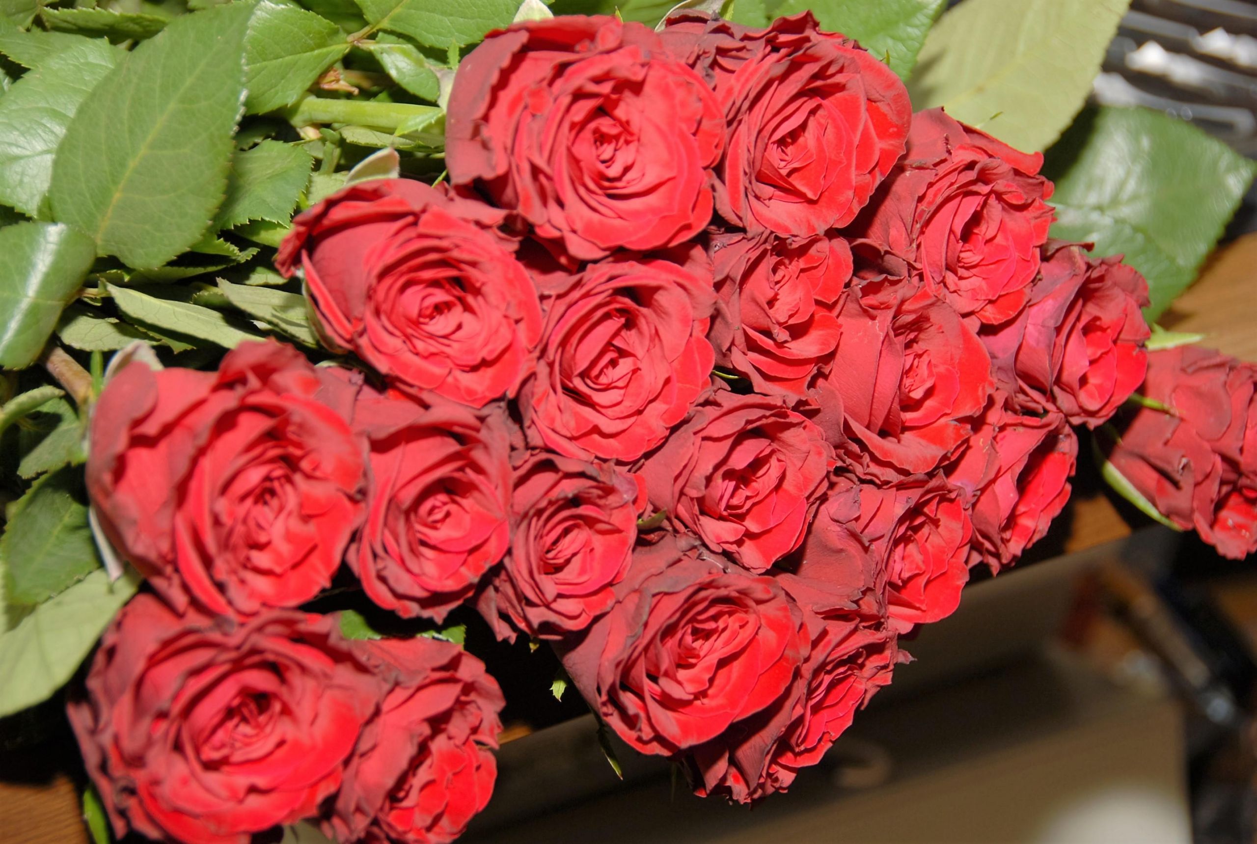 Į gimnazijas sugrįžta paskutinio skambučio tradicijos /