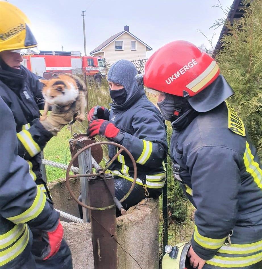 Išgelbėjo katinėlį / Ukmergės PGT nuotr.