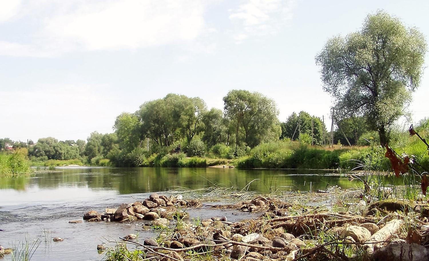 Įspėja apie hidrologinę sausrą / Upės praneša apie besiartinančią hidrologinę sausrą.  Gedimino Nemunaičio nuotr.