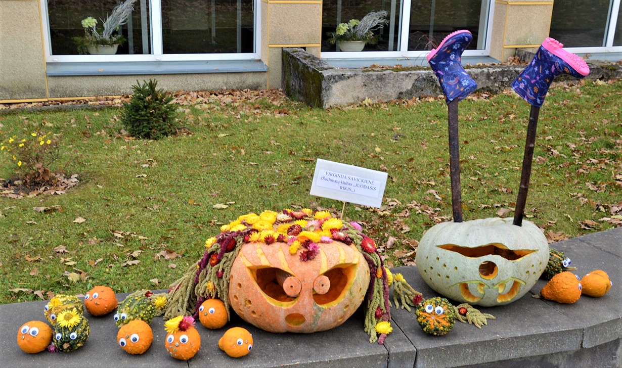 kad šis renginys ateityje taps tradiciniu.