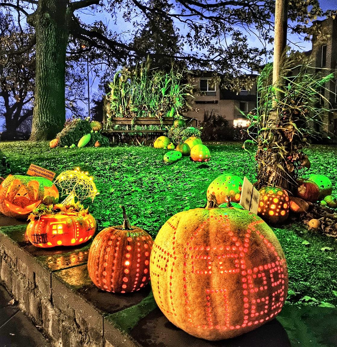 Išrinkti gražiausi šviečiantys moliūgai / Tikimasi