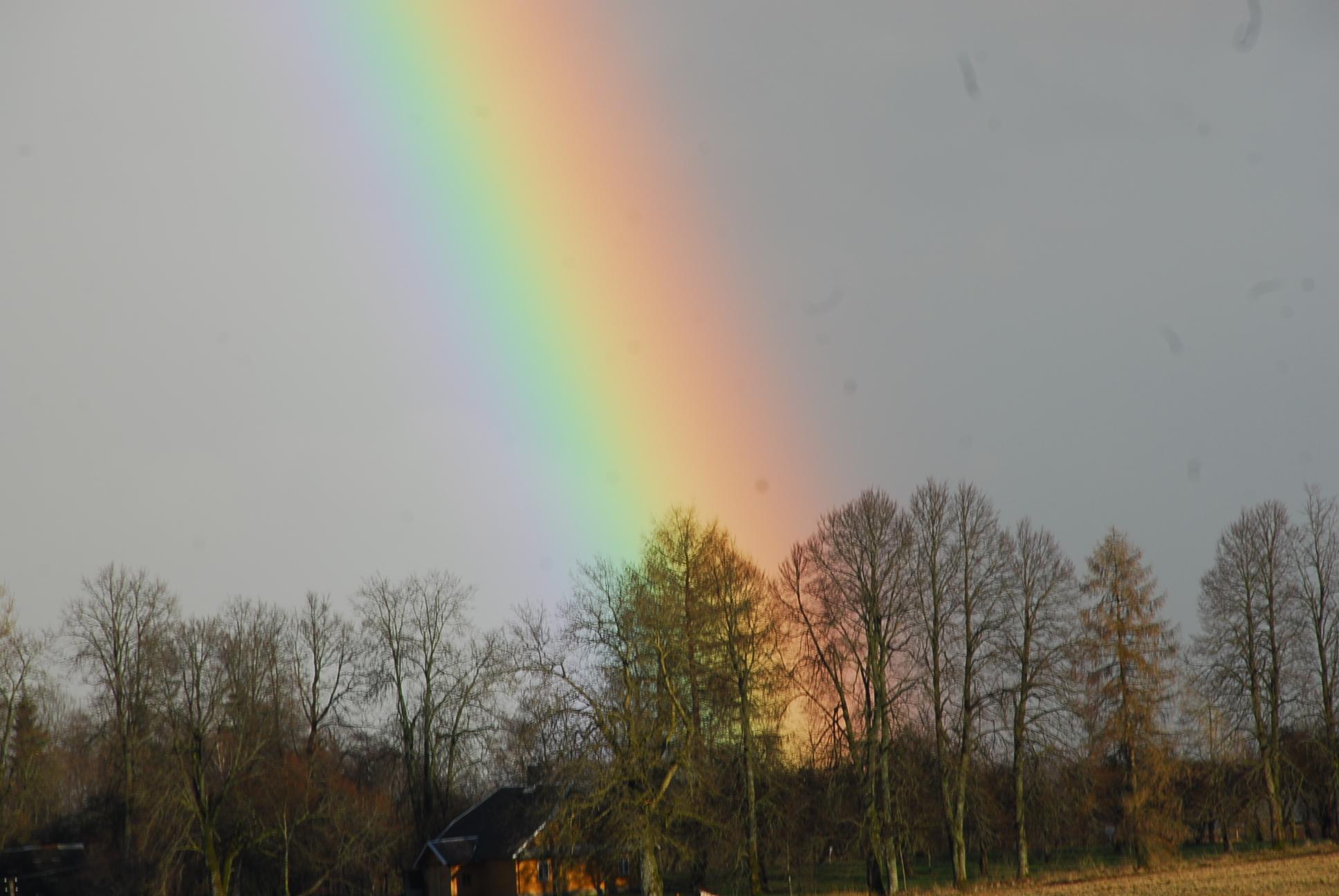 Išrinkti konkurso „Krašto auksas“ nugalėtojai /