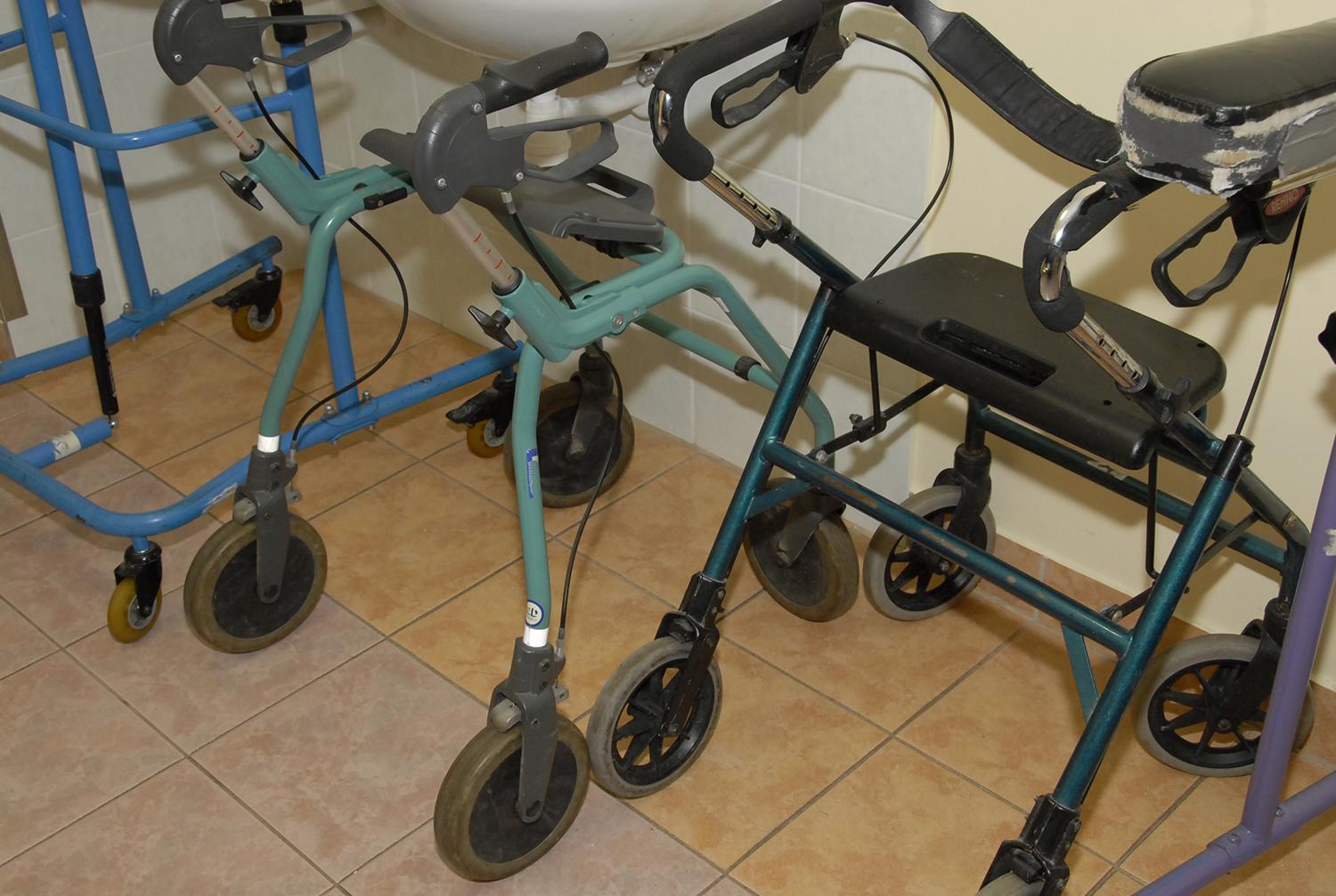 Ištirti globos namų gyventojai /