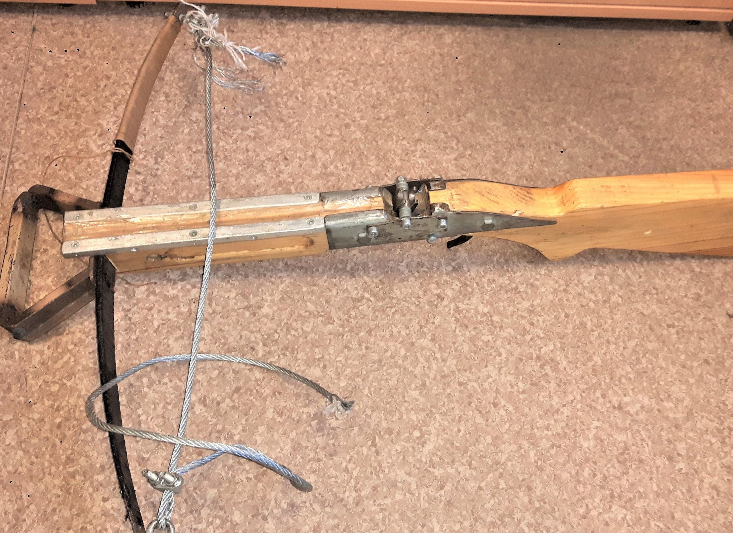 Įtarimai pareikšti brakonierių grupei / PK nuotr.