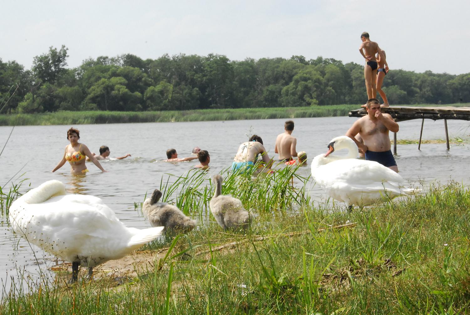 Kad poilsio gamtoje neapkartintų bauda / Gamtoje derėtų elgtis atsakingai.  Gedimino Nemunaičio nuotr.