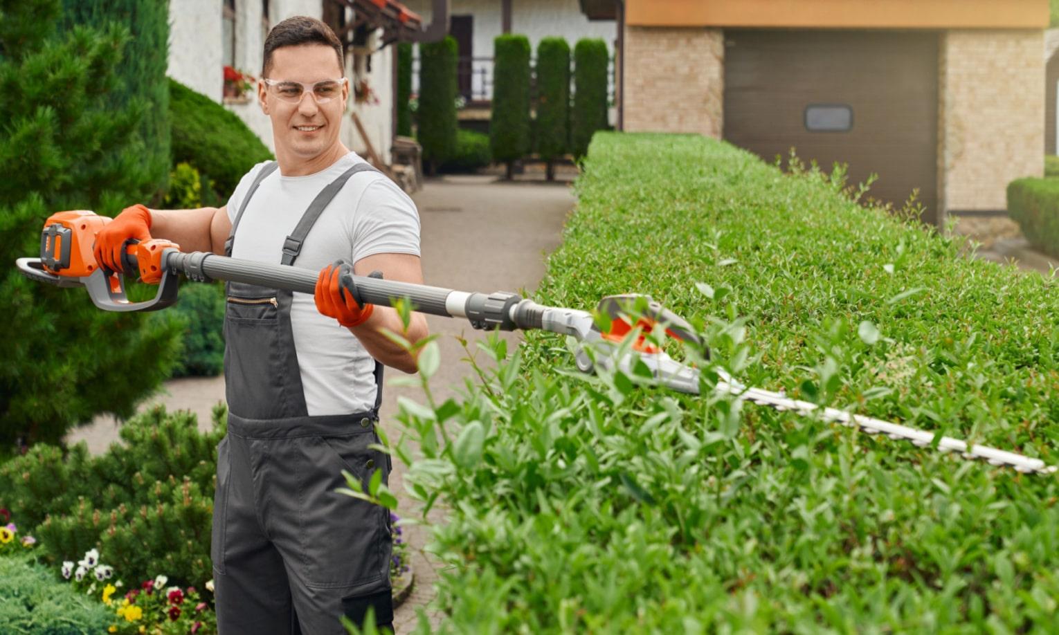 Kada ir kaip formuoti dekoratyvinius krūmus? /