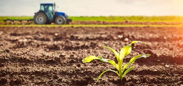 Kai kurios gyventojų grupės suvartoja per mažai seleno /