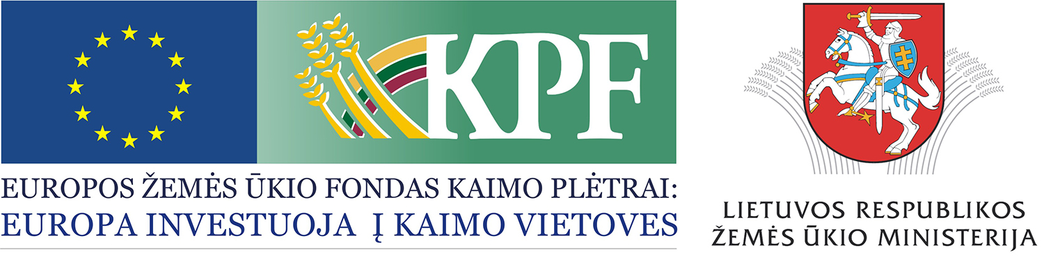 būtinoms stogo dangai pakeisti. Dariaus Šypalio nuotr.