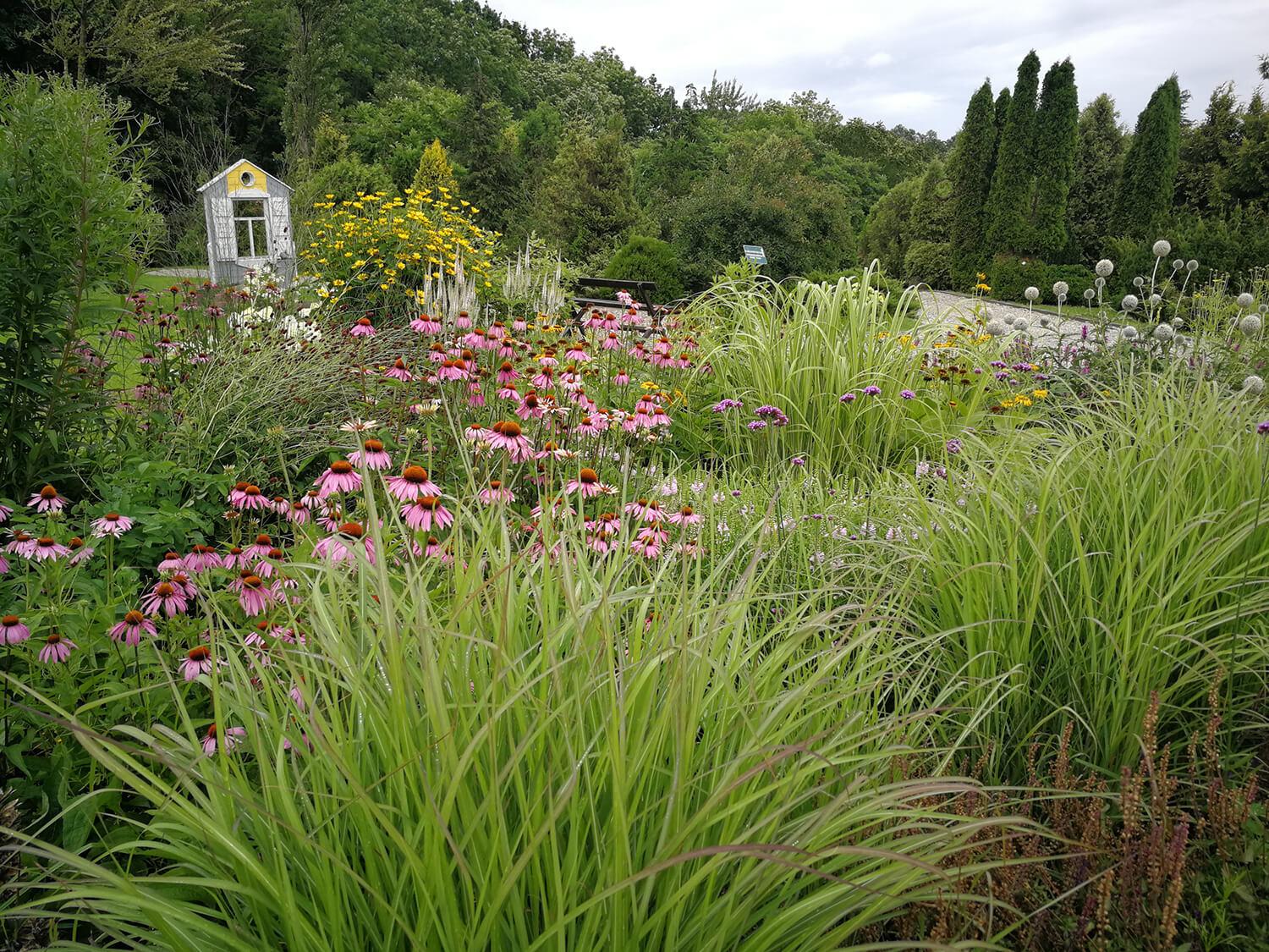 Kaimui į pagalbą ateina mokslo ir mokymo įstaigos / Aistės Noreikaitės nuotrauka. Klaipėdos universitetas jau įgyvendina projektą „Biologinę įvairovę tausojančių