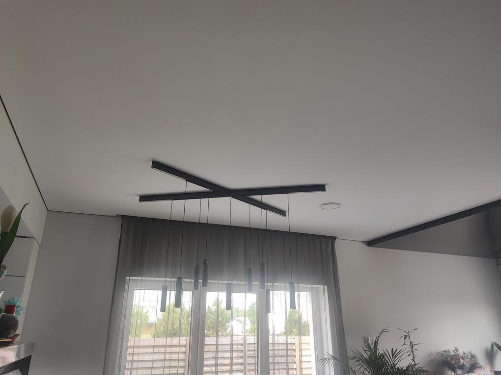 Kaip tinkamas lubų pasirinkimas gali padėti sutaupyti? /